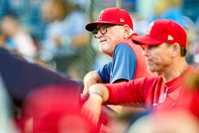 Joe Maddon, managing the Angels at Yankee Stadium.